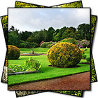 Gardens portfolio